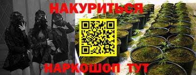метадон Лесосибирск