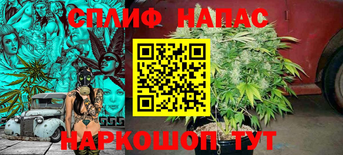 Бошки Шишки семена  Вход с VPN  Губаха  Бошки Шишки MAZAR 